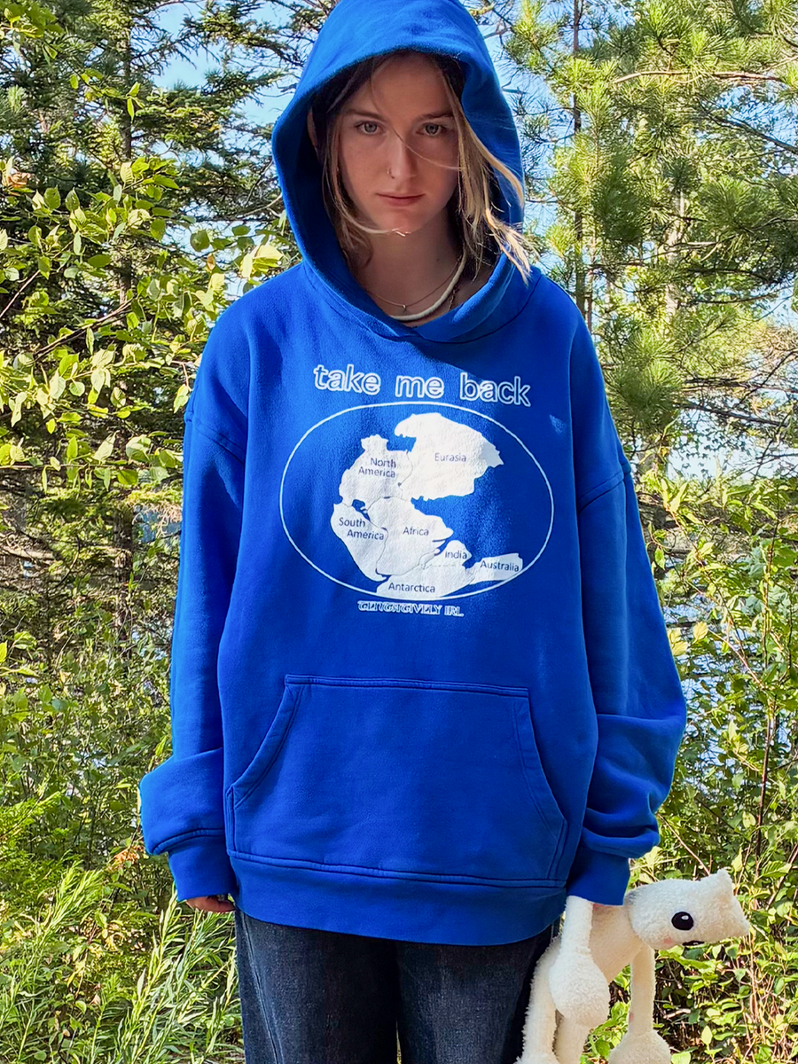 Pangea Hoodie