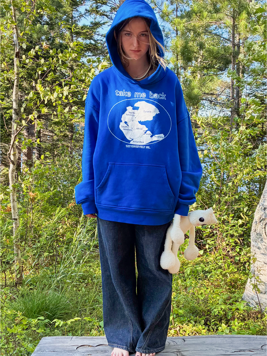 Pangea Hoodie