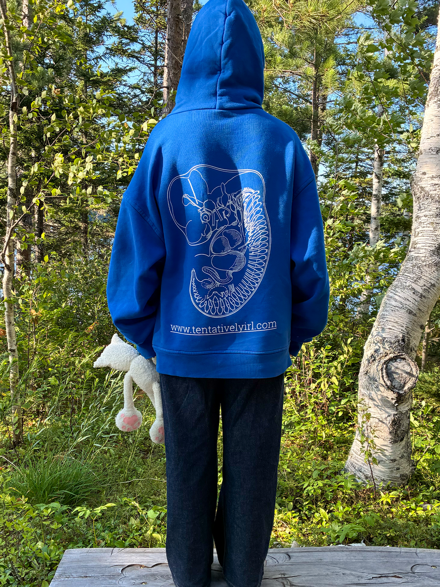 Pangea Hoodie